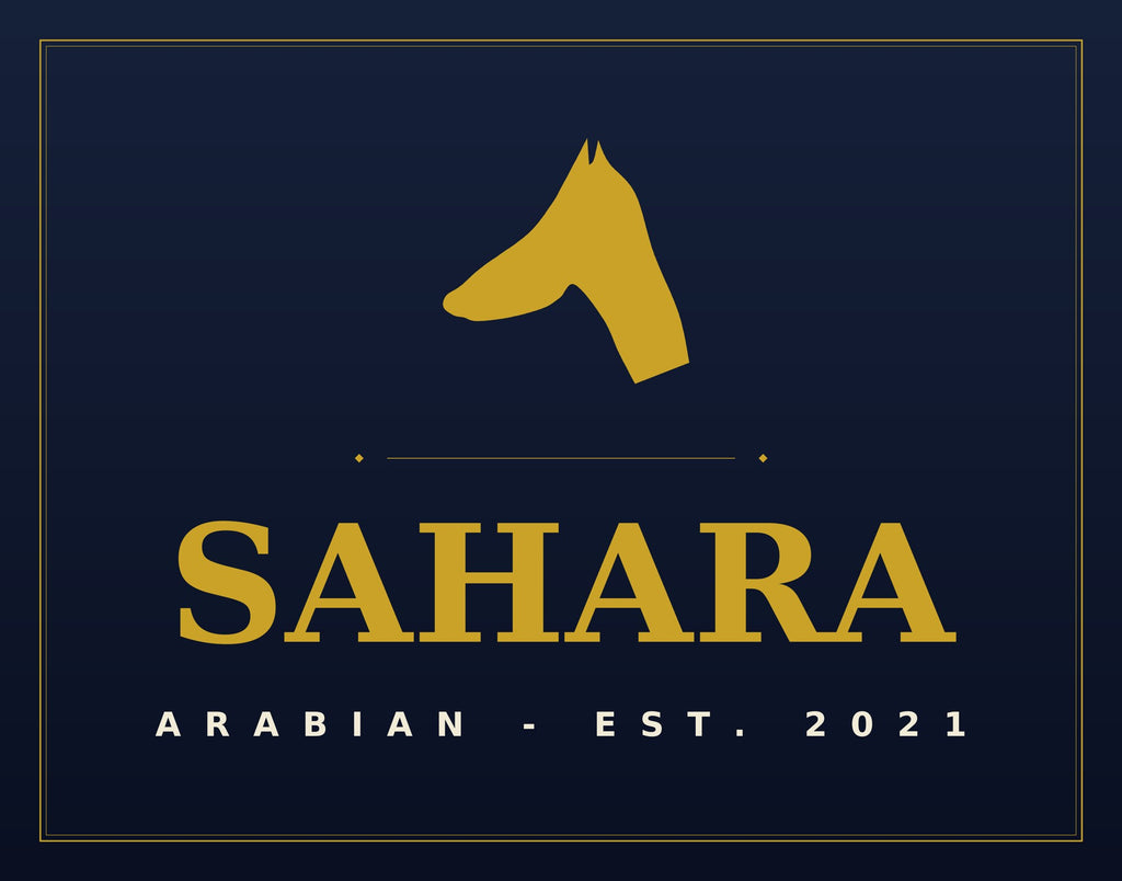 Personalized horse stall sign — hero sahara