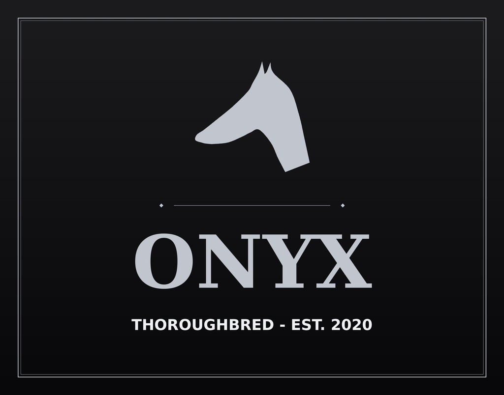 Personalized horse stall sign — black onyx